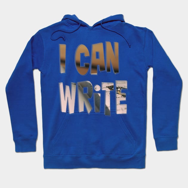 I Can Write Hoodie by afternoontees